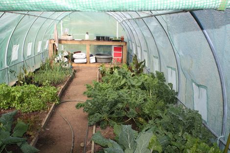 Photo of property in 4059 State Highway 23, Raglan, 3295