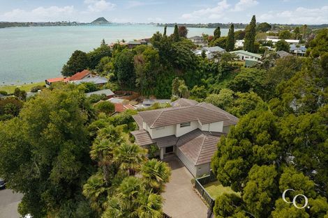 Photo of property in 214 Maungatapu Road, Maungatapu, Tauranga, 3112