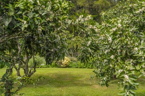 Photo of property in 895 State Highway 25, Whenuakite, Whitianga, 3591