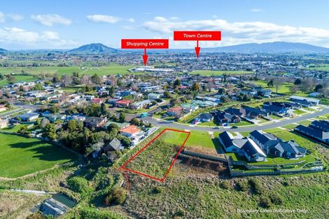 Photo of property in 260 Thorncombe Road, Te Awamutu, 3800