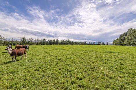 Photo of property in 665 Wolffs Road, Eyrewell, Rangiora, 7476