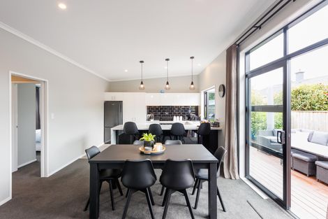 Photo of property in 30a Alfred Street, Roslyn, Palmerston North, 4414