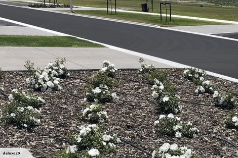 Photo of property in 4 Rose Manor Drive, Springlands, Blenheim, 7201