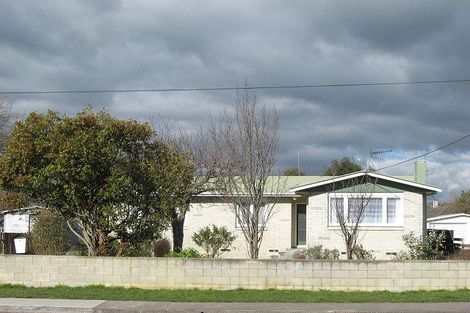 Photo of property in 91 Racecourse Road, Waipukurau, 4200