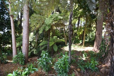 Photo of property in 51 Hill Street, Warkworth, 0910