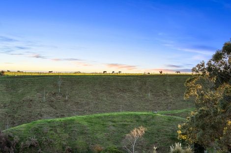 Photo of property in 17 East Way, Durie Hill, Whanganui, 4500