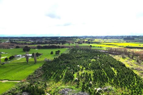 Photo of property in 351 Weber Road, Dannevirke, 4971