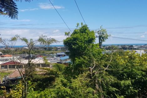 Photo of property in 87 Alexander Street, Greymouth, 7805