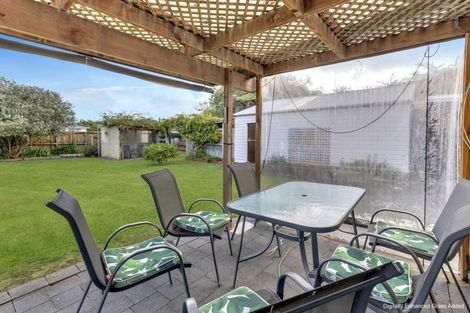 Photo of property in 87 Queen Street West, Levin, 5510