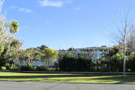 Photo of property in 11 Hobson Street, Maeroa, Hamilton, 3200