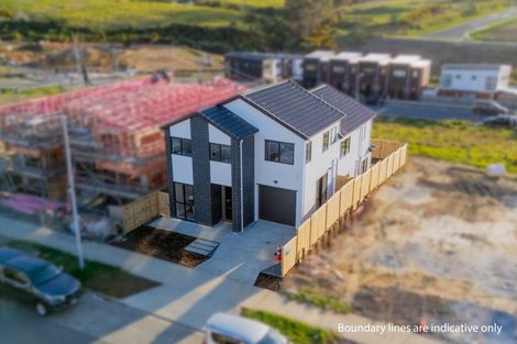 Photo of property in 47 Hermitage Street, Flat Bush, Auckland, 2019