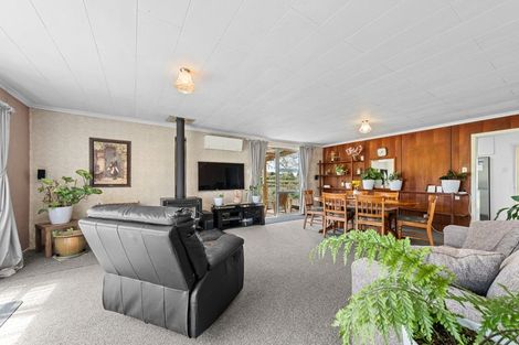 Photo of property in 20 Dudley Road Lower, Inglewood, 4386