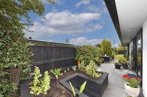 Photo of property in 91 Forfar Street, St Albans, Christchurch, 8014