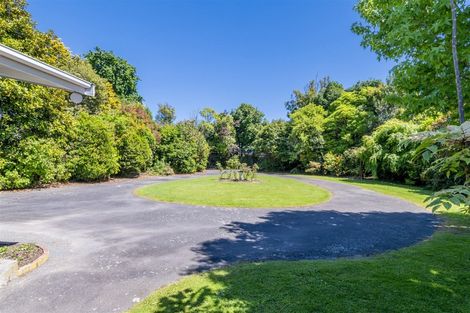 Photo of property in 61c Macarthur Street, Levin, 5510