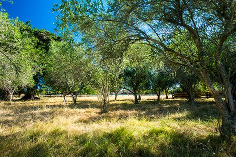 Photo of property in 52 Cameron Road, Makauri, Gisborne, 4071