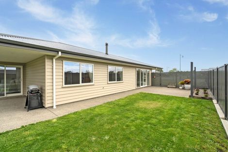 Photo of property in 48 Tuatahi Avenue, Solway, Masterton, 5810