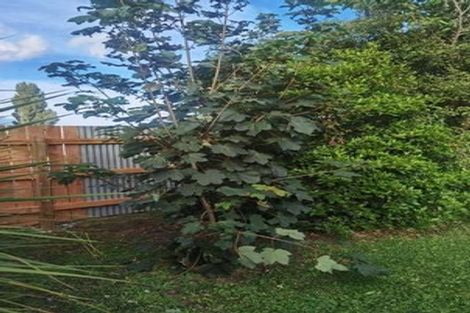 Photo of property in 3 Hengist Street, Norsewood, 4974