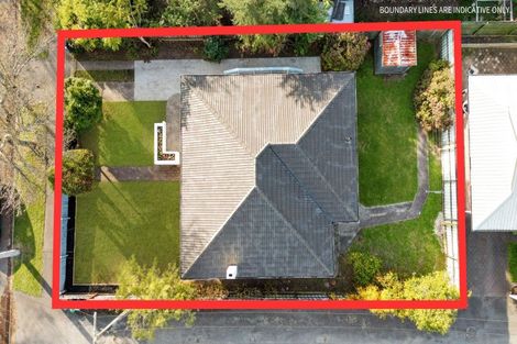 Photo of property in 172 Nixon Street, Hamilton East, Hamilton, 3216