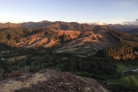 Photo of property in 31 Makahika Road, Levin, 5571