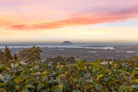 Photo of property in 665c Minden Road, Minden, Tauranga, 3176