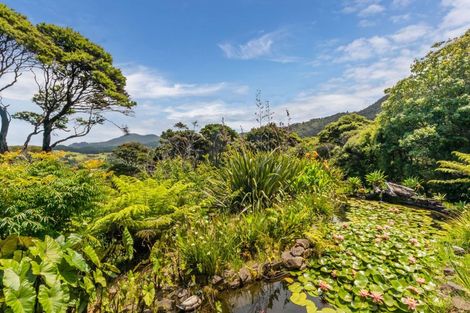 Photo of property in 800 Buffalo Road, Coromandel, 3506