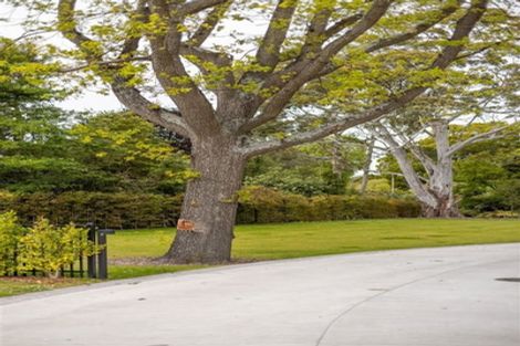 Photo of property in 67c Fendalton Road, Fendalton, Christchurch, 8014