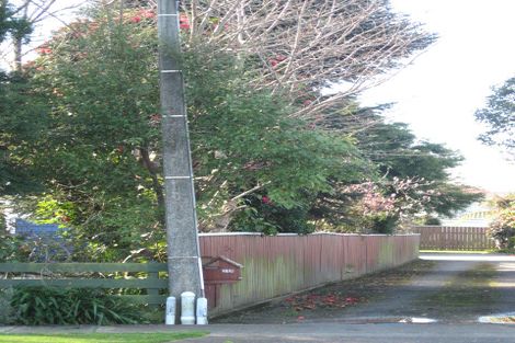 Photo of property in 31a Macarthur Street, Levin, 5510