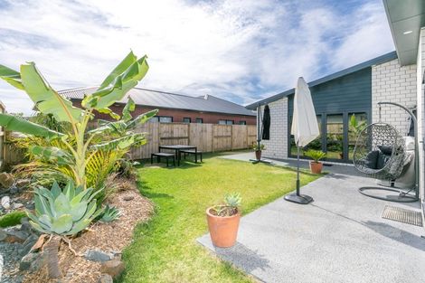 Photo of property in 19 Hapori Avenue, Baverstock, Hamilton, 3200