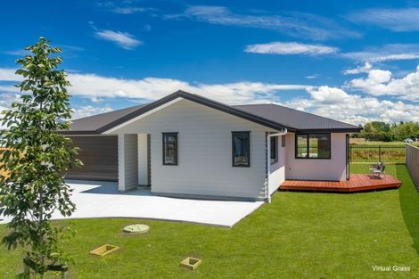 Photo of property in 18 Hanworth Road, Appleby, Richmond, 7020