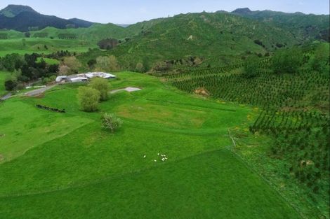 Photo of property in 987 Ongarue Back Road, Ongarue, Taumarunui, 3996