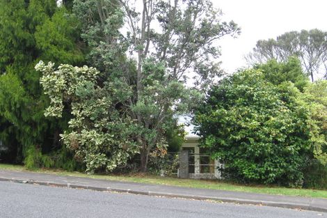 Photo of property in 99 Selwyn Crescent, Forrest Hill, Auckland, 0620