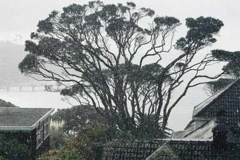 Photo of property in 23a Bournemouth Terrace, Murrays Bay, Auckland, 0630