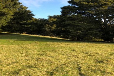 Photo of property in 75 Snooks Road, Maungatapere, Whangarei, 0179