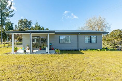Photo of property in 11 Whanganui River Road, Taumarunui, 3920