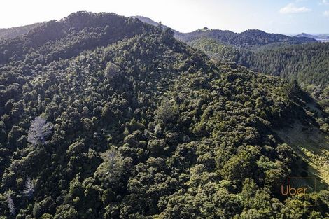 Photo of property in 74 Waiparera Road, Parua Bay, 0192