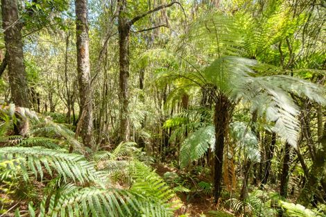 Photo of property in 120 Brickfield Road, Seaview, Hokitika, 7882