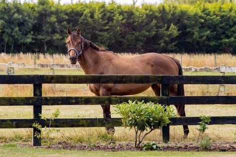 Photo of property in 263 Lehmans Road, Fernside, Rangiora, 7471