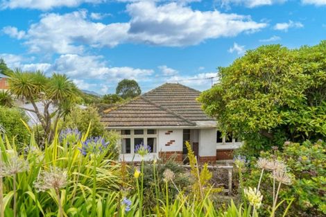 Photo of property in 115 Riselaw Road, Calton Hill, Dunedin, 9012