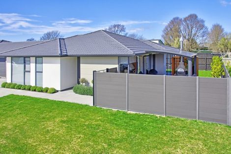Photo of property in 16 Whatman Avenue, Masterton, 5810
