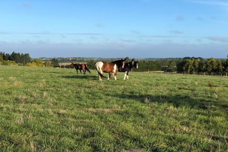 Photo of property in 830 Oxford Road, Fernside, Rangiora, 7471
