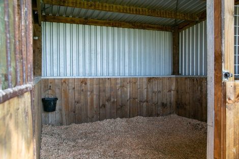 Photo of property in 369 Hautapu Road, Tamahere, Hamilton, 3283