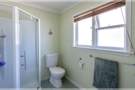 Photo of property in 21 Maire Street, Levin, 5510