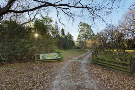 Photo of property in 883 Palmerston-waikouaiti Road, Goodwood, Palmerston, 9481