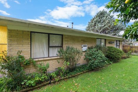 Photo of property in 1a Taylor Terrace, St Andrews, Hamilton, 3200