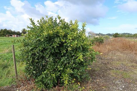 Photo of property in 72 Beach Road, Dargaville, 0310