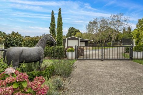 Photo of property in 16 Robinson Road, Coatesville, Albany, 0793