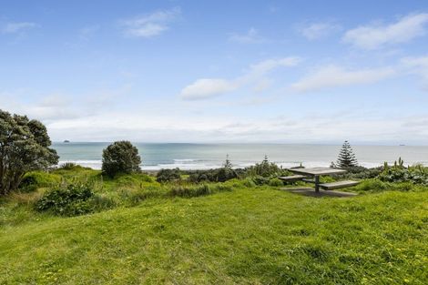 Photo of property in 14 Sackville Street, Fitzroy, New Plymouth, 4312