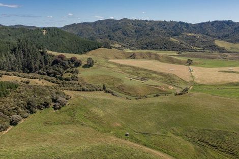 Photo of property in 550 Black Jack Road, Opito Bay, Whitianga, 3592