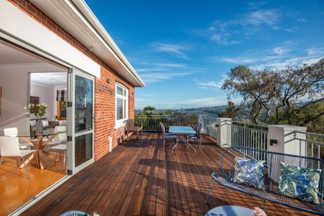 Photo of property in 113 Signal Hill Road, Opoho, Dunedin, 9010