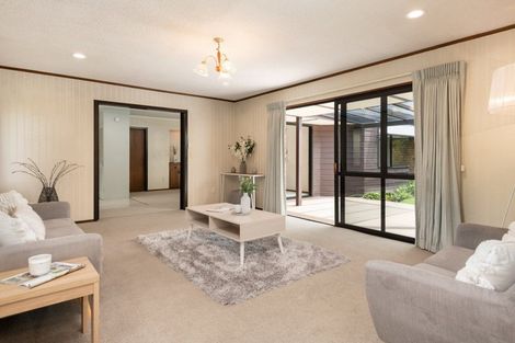 Photo of property in 3 Winchester Terrace, Bethlehem, Tauranga, 3110